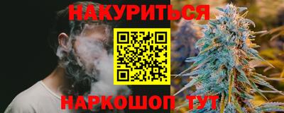 apvp Камышлов