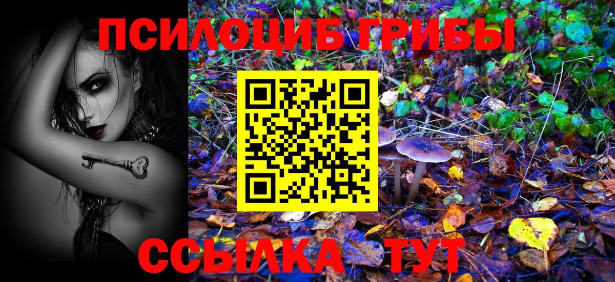 Псилоцибиновые грибы Psilocybine cubensis Краснокамск